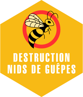 destruction nids de guêpes toulouse