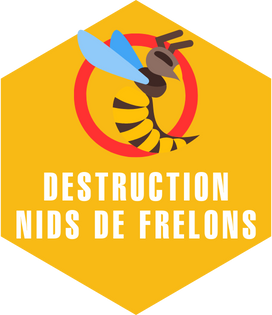 destruction nids de frelons toulouse