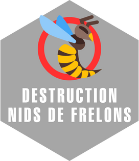 elimination nids de frelons toulouse