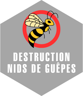 elimination nids de guêpes toulouse