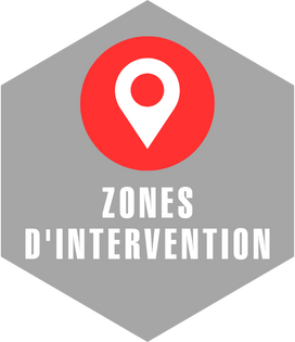 eliminer nids de guêpes toulouse