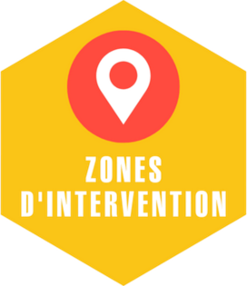 intervention nids de guêpes toulouse